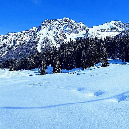 Campiglio Trilocale Monte Spinale Apartment Madonna di Campiglio Phòng bức ảnh
